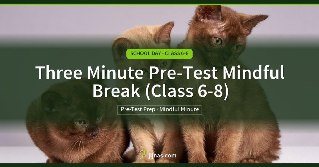 Three Minute Pre-Test Mindful Break (Class 6-8), School Day · Class 6-8 | jijnas.com