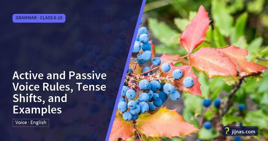 Active and Passive Voice Rules, Tense Shifts, and Examples, Grammar · Class 8-10 | jijnas.com