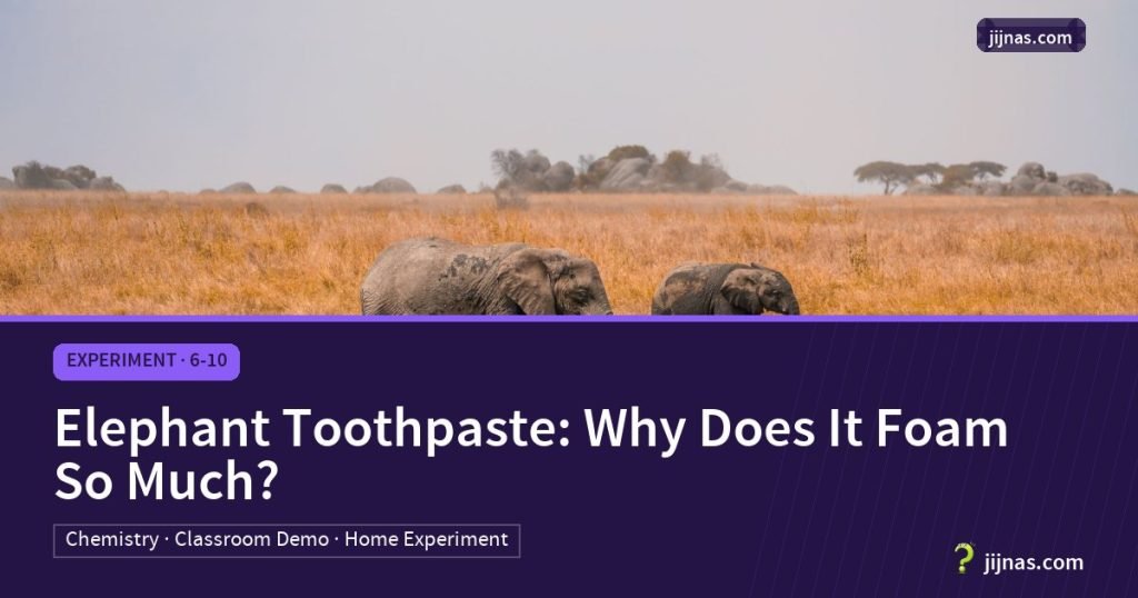 Elephant Toothpaste: Why Does It Foam So Much?, Experiment · 6-10 | jijnas.com
